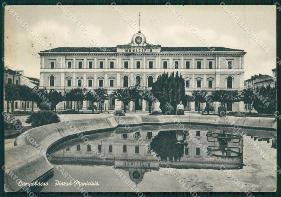Campobasso Città Municipio PIEGHINE FG cartolina ZKM6969 – fronte