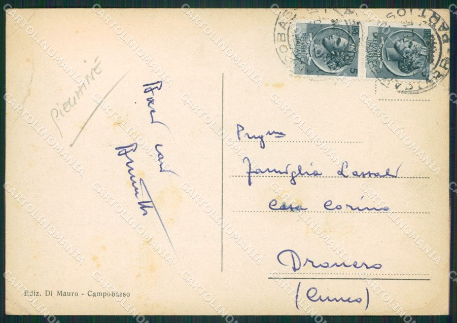 Campobasso Città Municipio PIEGHINE FG cartolina ZKM6969 – retro