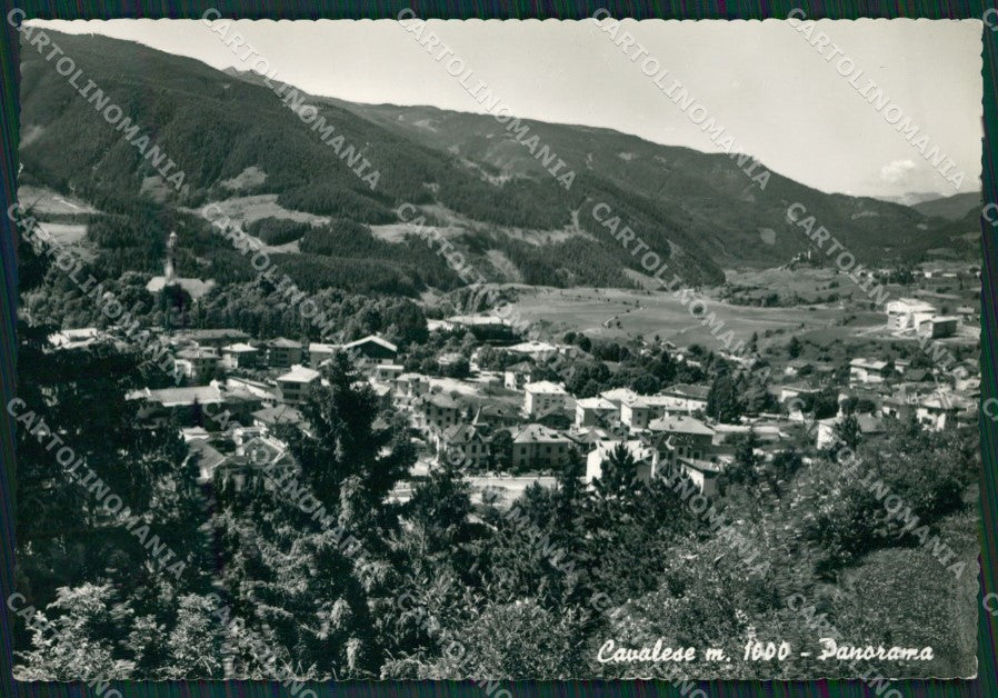 Trento Cavalese Foto FG cartolina ZKM6993 – fronte