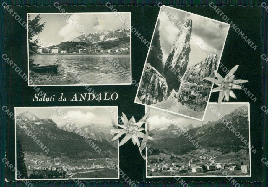 Trento Andalo Saluti da Foto FG cartolina ZKM6997 – fronte