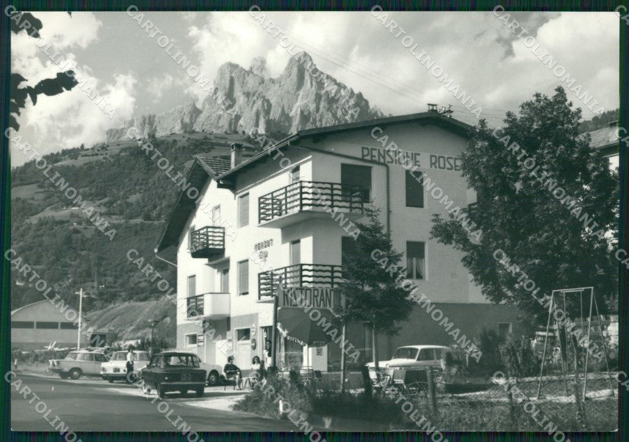 Trento Primiero Auto Foto FG cartolina ZKM7010 – fronte