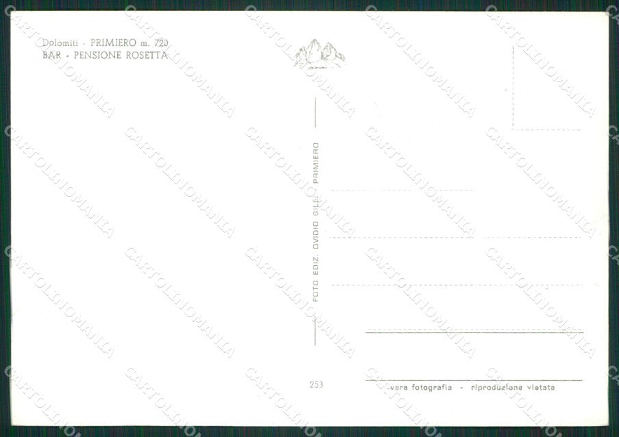 Trento Primiero Auto Foto FG cartolina ZKM7010 – retro