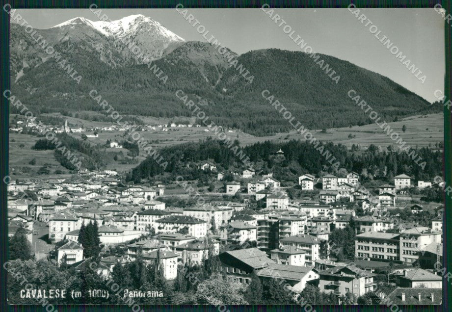 Trento Cavalese Foto FG cartolina ZKM7011 – fronte