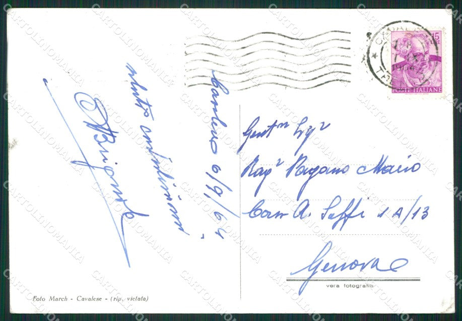 Trento Cavalese Foto FG cartolina ZKM7011 – retro