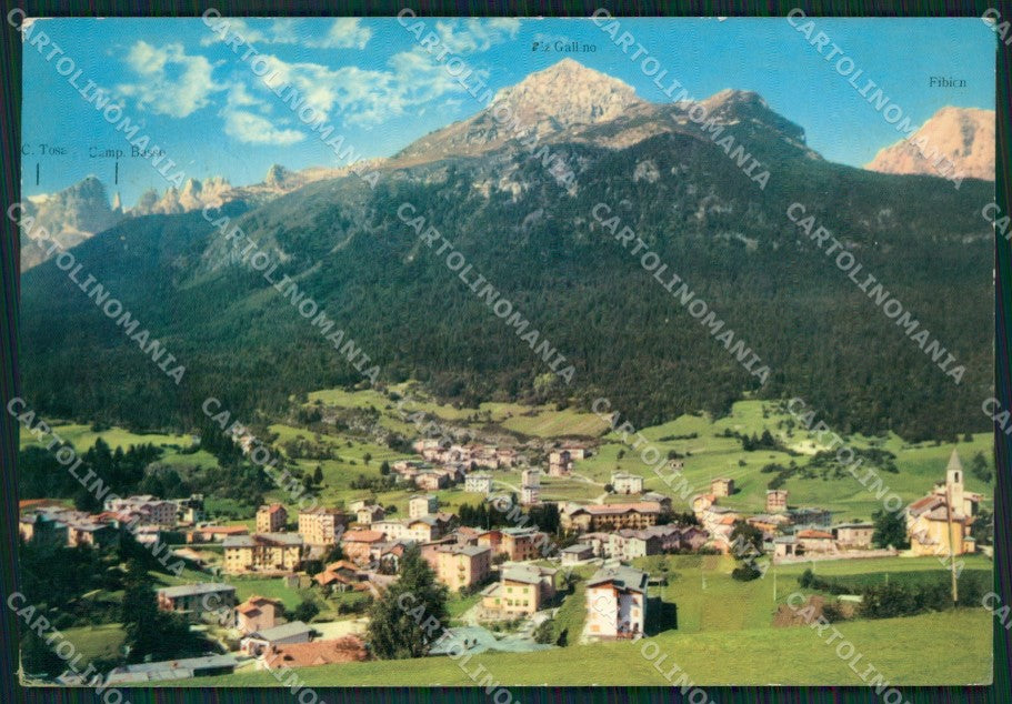 Trento Andalo Foto FG cartolina ZKM7027 – fronte