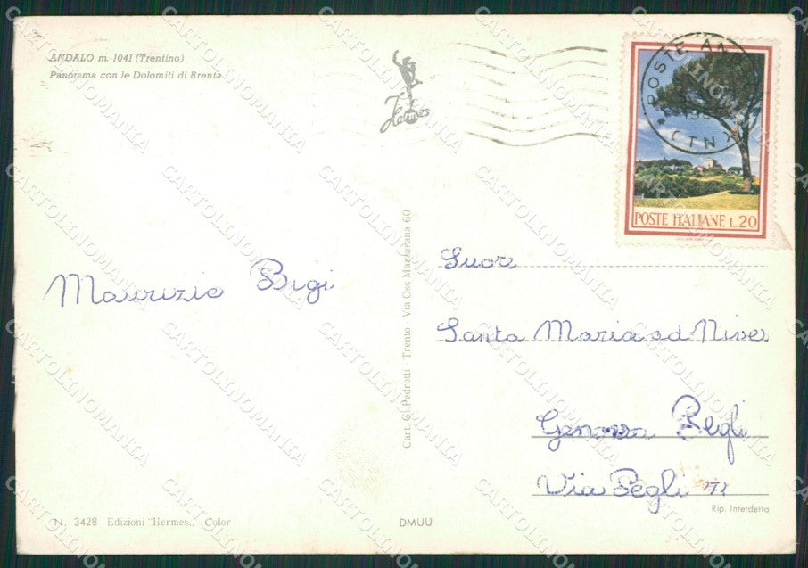 Trento Andalo Foto FG cartolina ZKM7027 – retro