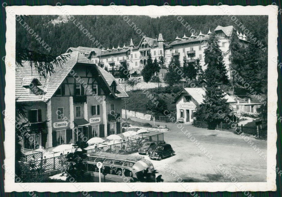 Trento Mendola Passo di Corriera Foto FG cartolina ZKM7079 – fronte