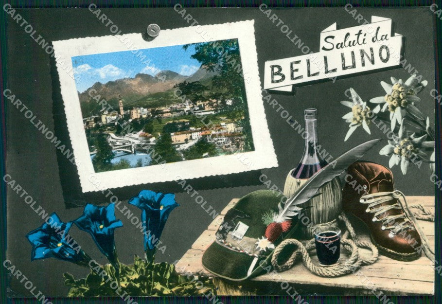 Belluno Città Saluti da Alpini Foto FG cartolina ZKM7112 – fronte