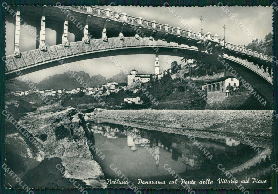 Belluno Città Foto FG cartolina ZKM7113 – fronte
