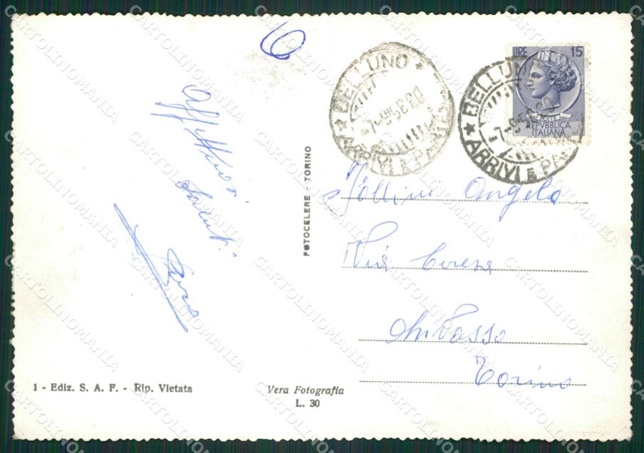 Belluno Città Foto FG cartolina ZKM7113 – retro