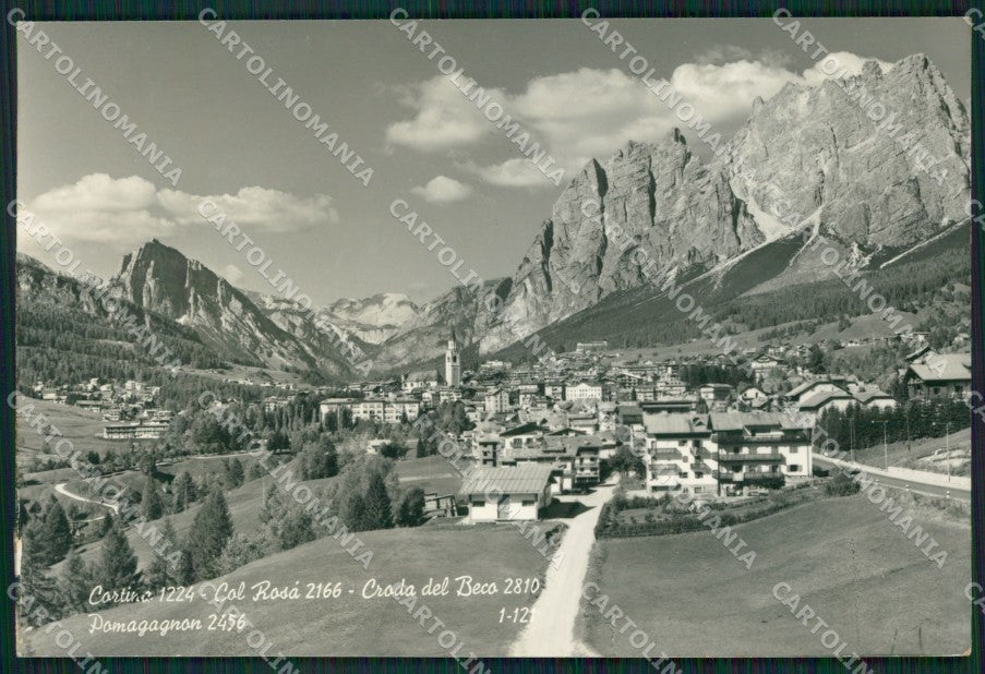 Belluno Cortina Foto FG cartolina ZKM7121 – fronte
