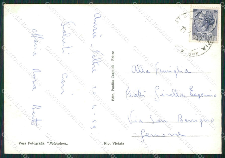 Belluno Feltre Foto FG cartolina ZKM7123 – retro