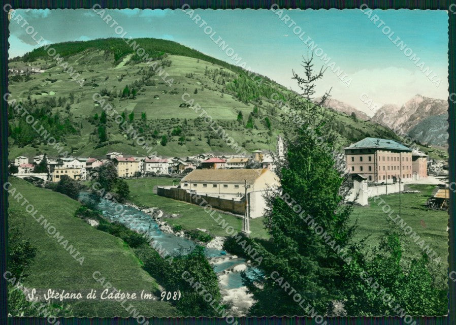 Belluno Santo Stefano di Cadore Foto FG cartolina ZKM7126 – fronte