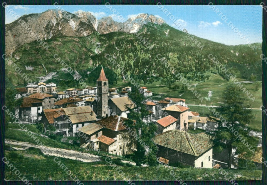 Belluno Vico di Cadore Foto FG cartolina ZKM7129 – fronte