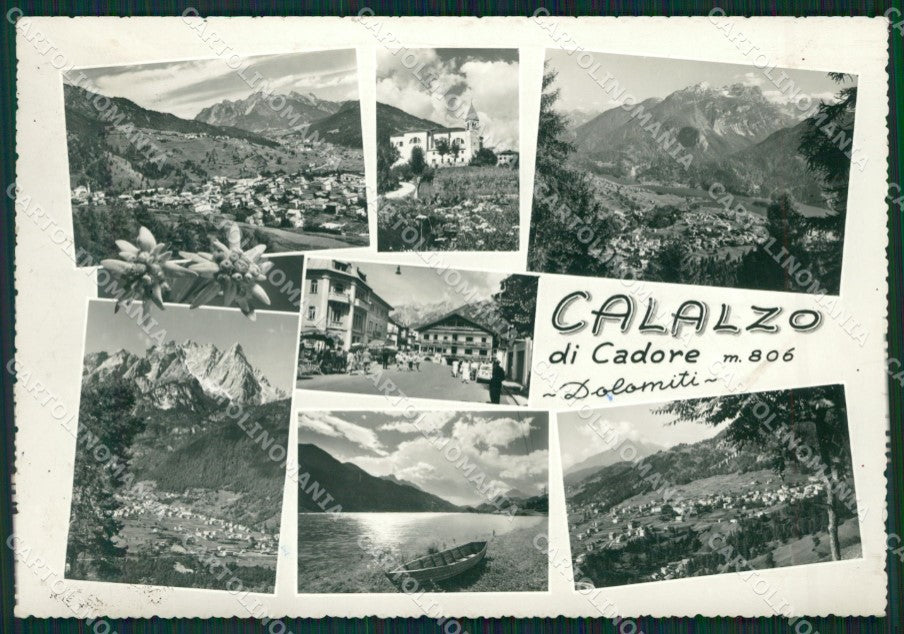 Belluno Calalzo di Cadore Foto FG cartolina ZKM7132 – fronte