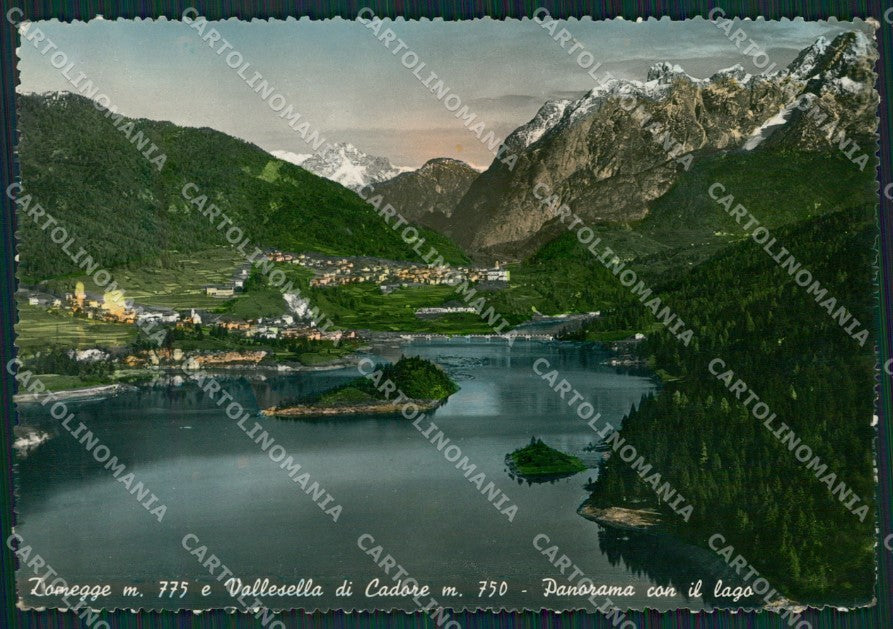 Belluno Domegge Foto FG cartolina ZKM7135 – fronte