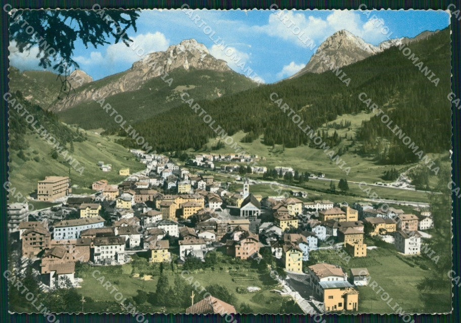 Belluno Santo Stefano di Cadore Foto FG cartolina ZKM7139 – fronte