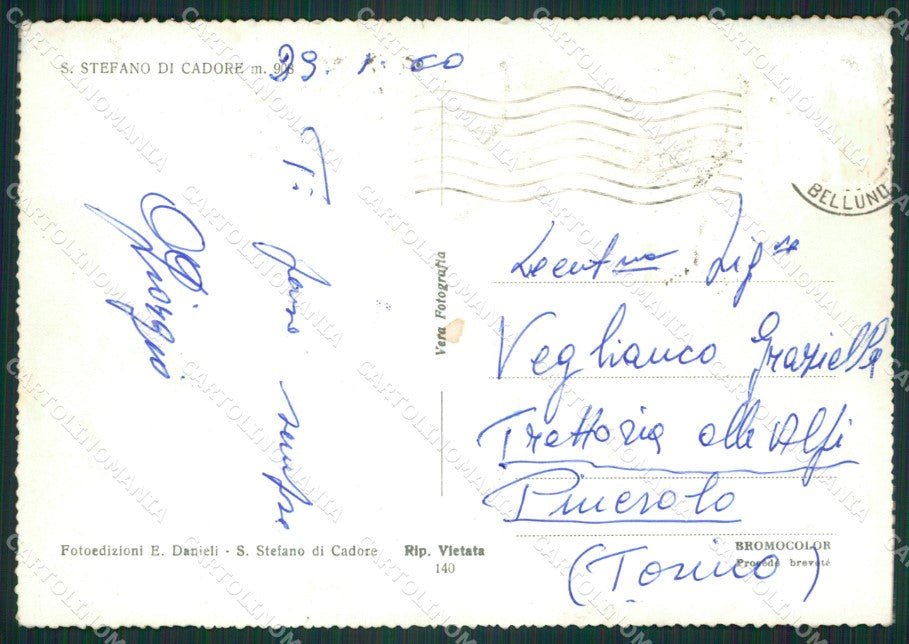 Belluno Santo Stefano di Cadore Foto FG cartolina ZKM7139 – retro