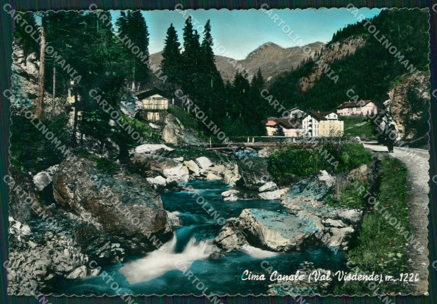 Belluno Santo Stefano di Cadore Cima di Canale Foto FG cartolina ZKM7143 – fronte