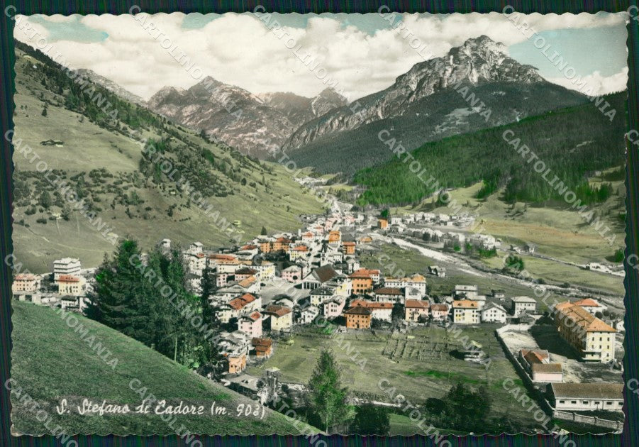 Belluno Santo Stefano di Cadore Foto FG cartolina ZKM7144 – fronte