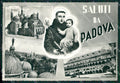 Padova Città Saluti da Sant'Antonio Foto FG cartolina ZKM7146 – fronte