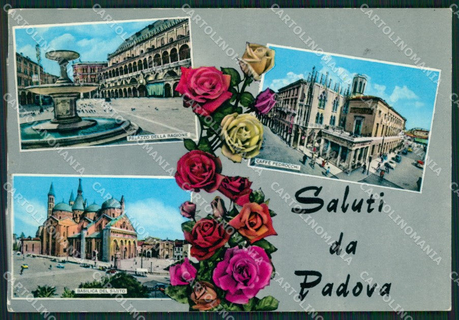 Padova Città Saluti da PIEGHE Foto FG cartolina ZKM7150 – fronte