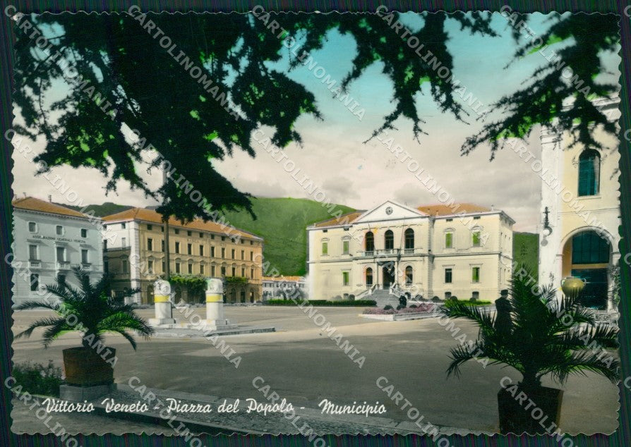Treviso Vittorio Veneto Municipio Foto FG cartolina ZKM7176 – fronte