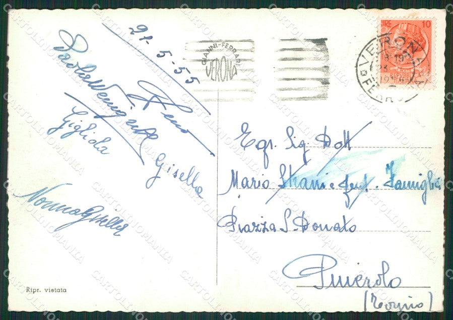 Verona Città Foto FG cartolina ZKM7184 – retro