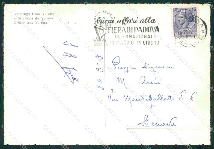 Verona Città Saluti da Foto FG cartolina ZKM7189 – retro