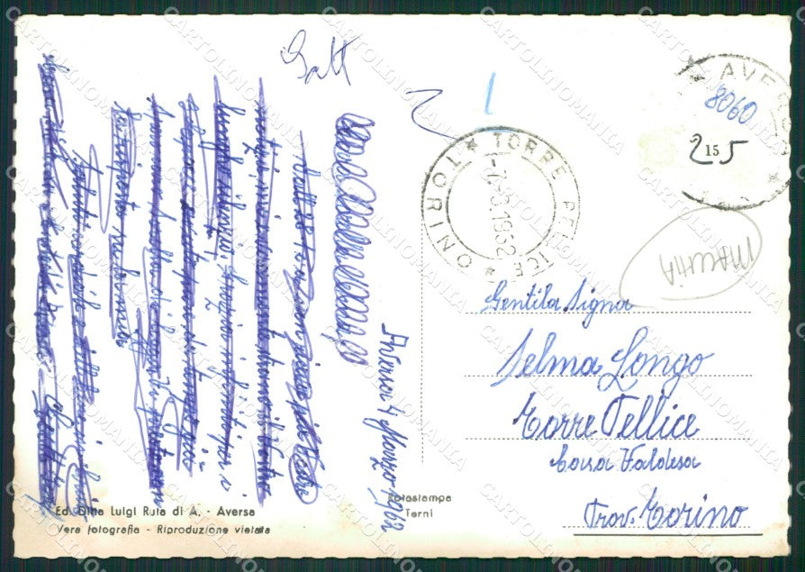 Caserta Aversa MACCHIA Foto FG cartolina ZKM7281 – retro