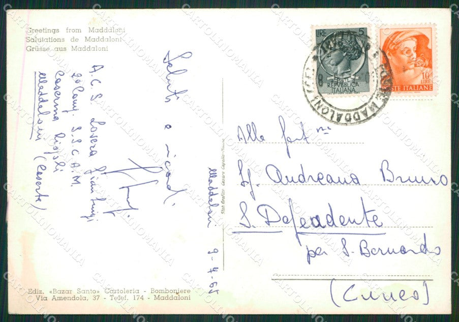 Caserta Maddaloni Saluti da Foto FG cartolina ZKM7282 – retro