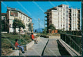 Salerno Sala Consilina MACCHIA Foto FG cartolina ZKM7290 – fronte