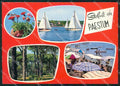 Salerno Paestum Saluti da MACCHIA Foto FG cartolina ZKM7294 – fronte