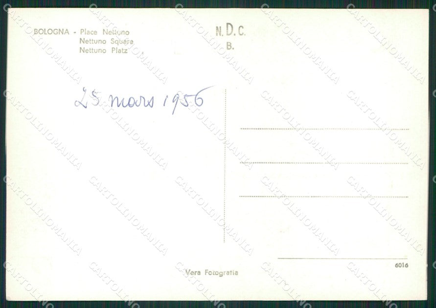 Bologna Città Foto FG cartolina ZKM7333 – retro