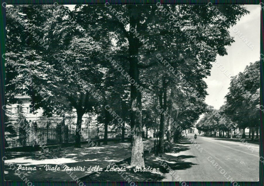 Parma Città Foto FG cartolina ZKM7394 – fronte