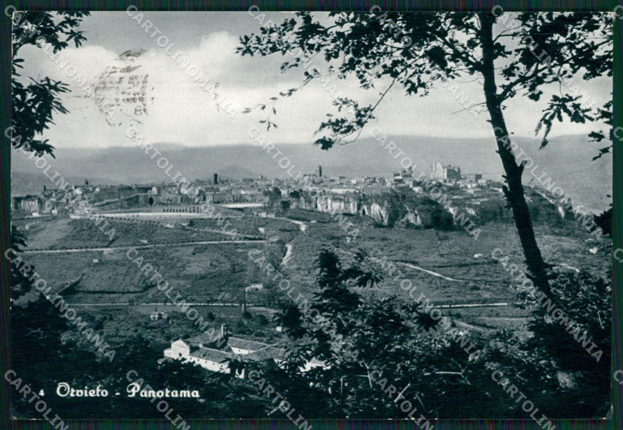 Terni Orvieto Foto FG cartolina ZKM7456 – fronte