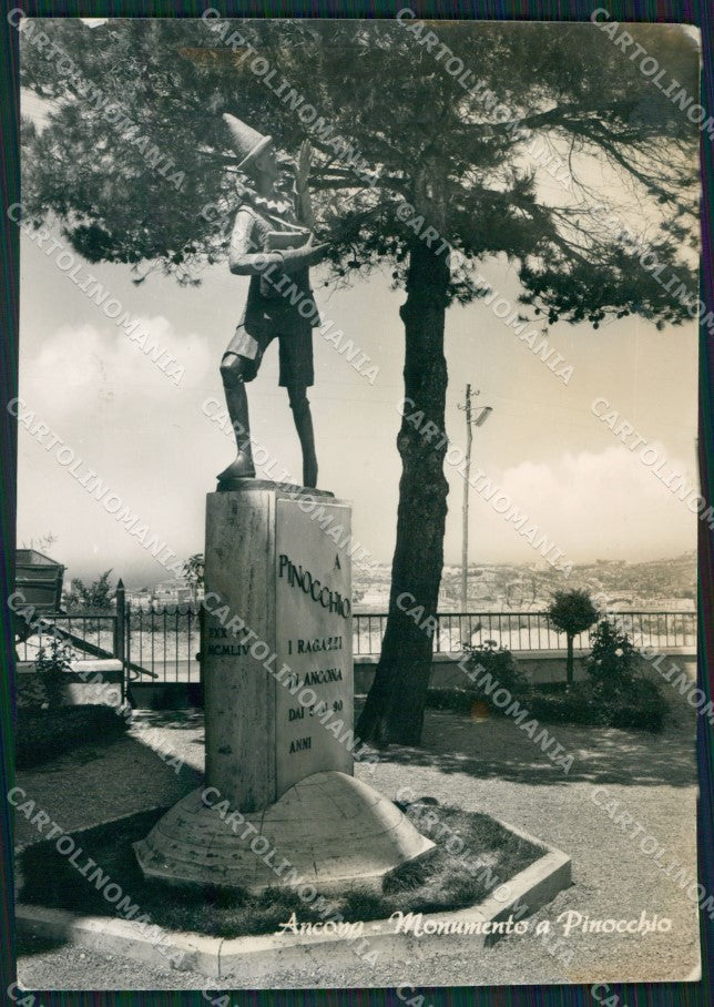 Ancona Città Pinocchio MACCHIA Foto FG cartolina ZKM7462 – fronte