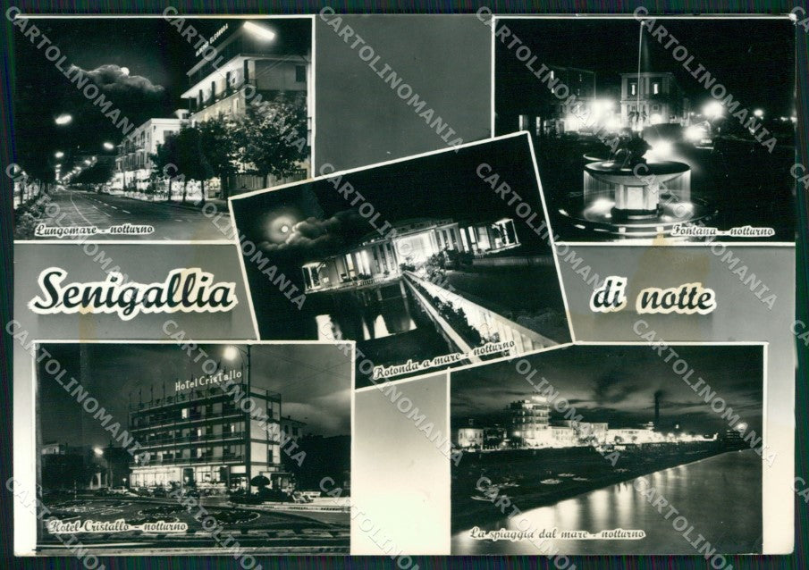 Ancona Senigallia MACCHIA Foto FG cartolina ZKM7464 – fronte