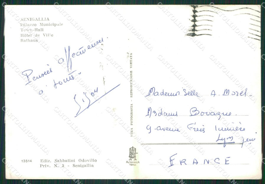 Ancona Senigallia Auto Foto FG cartolina ZKM7465 – retro