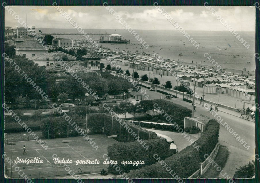 Ancona Senigallia Tennis PIEGHINA Foto FG cartolina ZKM7466 – fronte