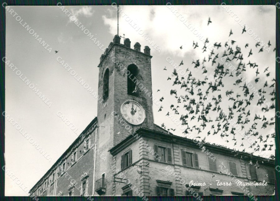 Ancona Osimo Foto FG cartolina ZKM7475 – fronte
