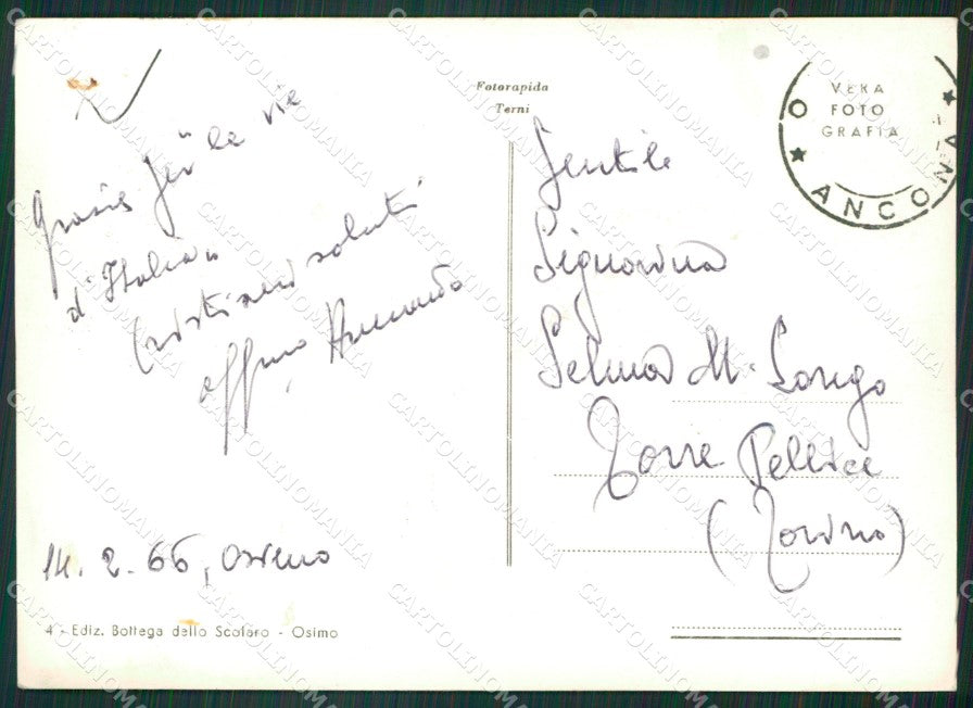 Ancona Osimo Foto FG cartolina ZKM7475 – retro