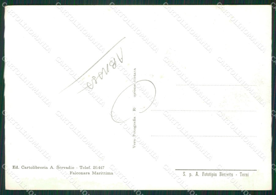 Ancona Falconara Marittima Saluti da ABRASA Foto FG cartolina ZKM7479 – retro