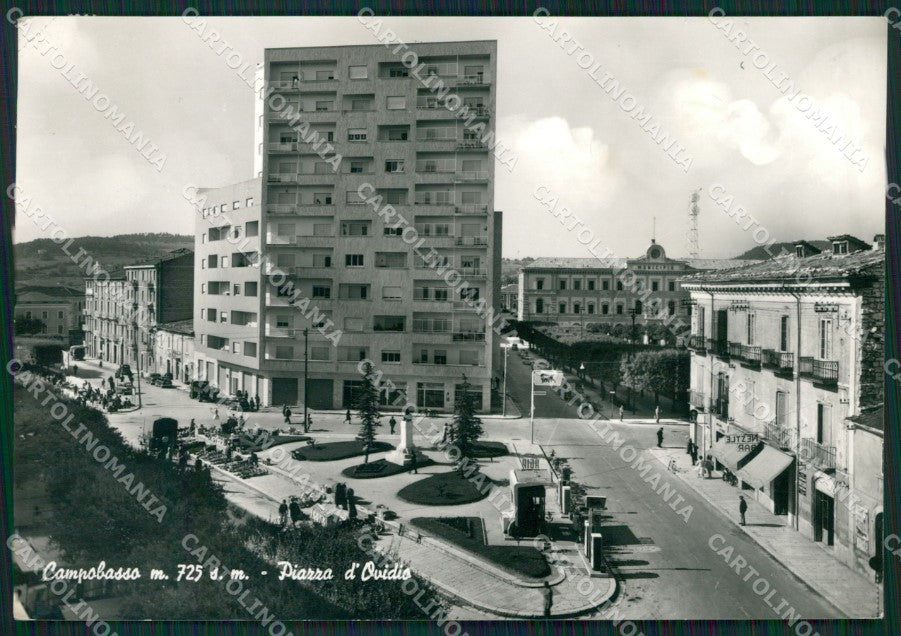 Campobasso Città Foto FG cartolina ZKM7490 – fronte