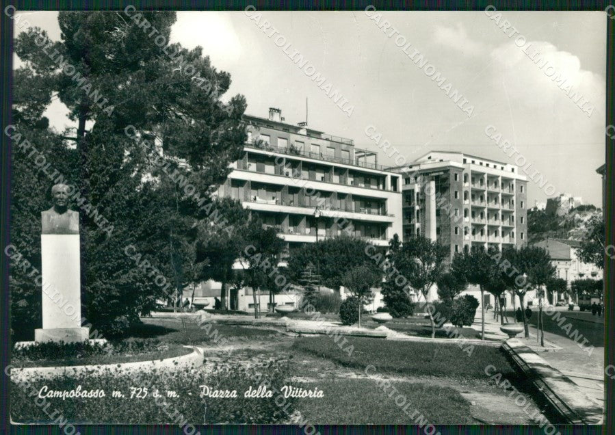 Campobasso Città PIEGATA Foto FG cartolina ZKM7492 – fronte