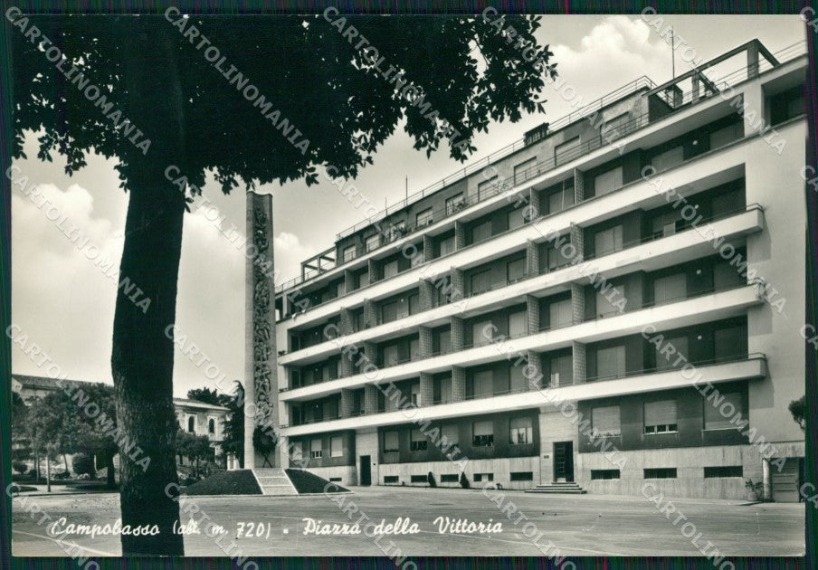 Campobasso Città Foto FG cartolina ZKM7501 – fronte
