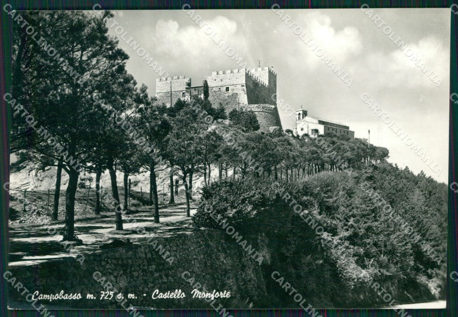 Campobasso Città Foto FG cartolina ZKM7504 – fronte