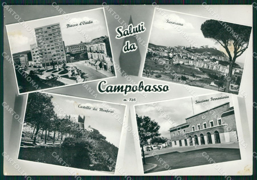 Campobasso Città Saluti da Foto FG cartolina ZKM7511 – fronte
