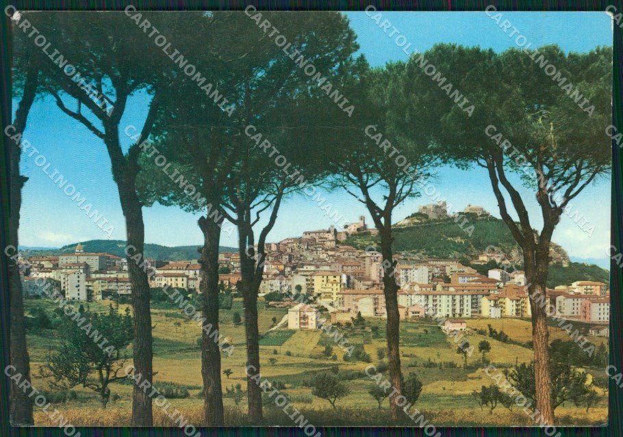 Campobasso Città Foto FG cartolina ZKM7513 – fronte