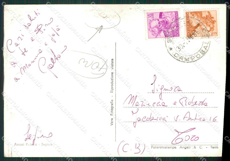 Campobasso Sepino FORI Foto FG cartolina ZKM7519 – retro
